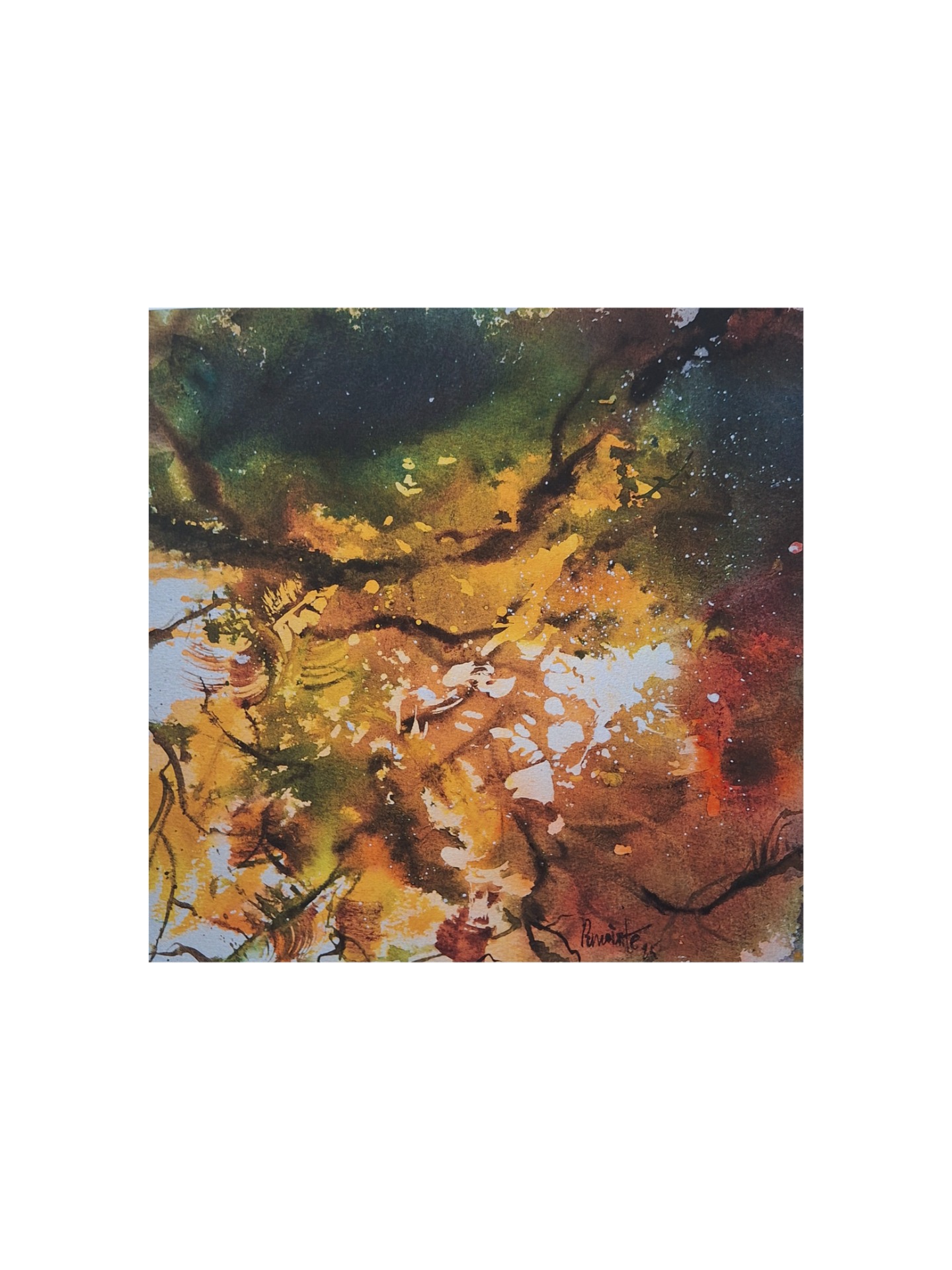Fine art print,40x40cm,euro 240